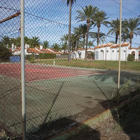 Buganvilla *